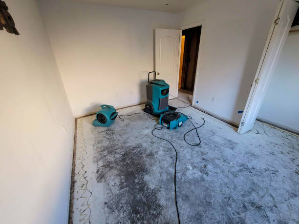 Best Flooded house restoration  in Fenton, MI