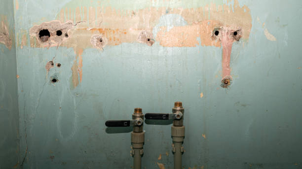 Best Flood restoration services  in Fenton, MI
