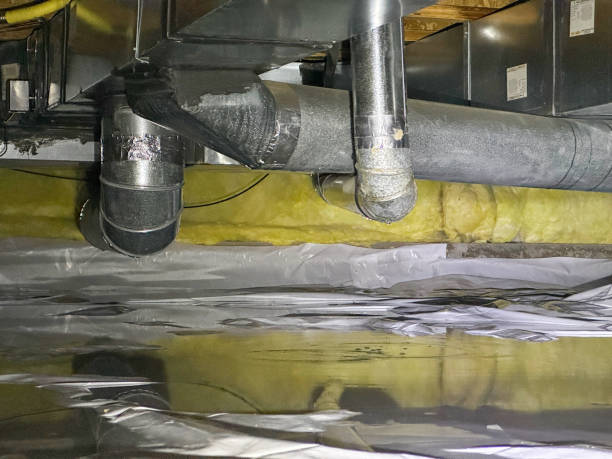 Best Water damage contractors near me  in Fenton, MI