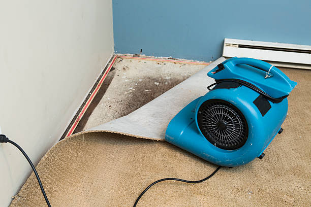 Best Professional water damage repair  in Fenton, MI